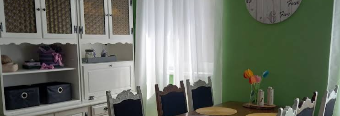 Apartman U centru Samobor