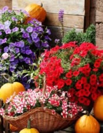 Etno farma Mirnovec