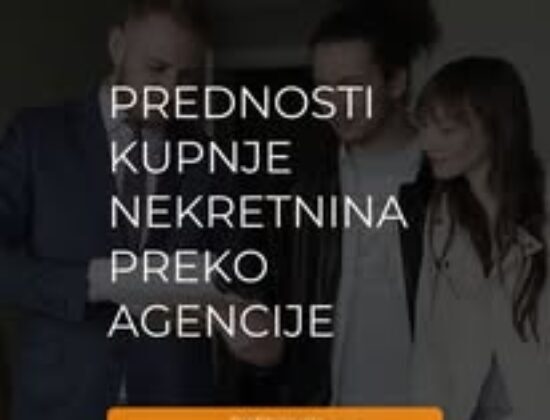 Sanek